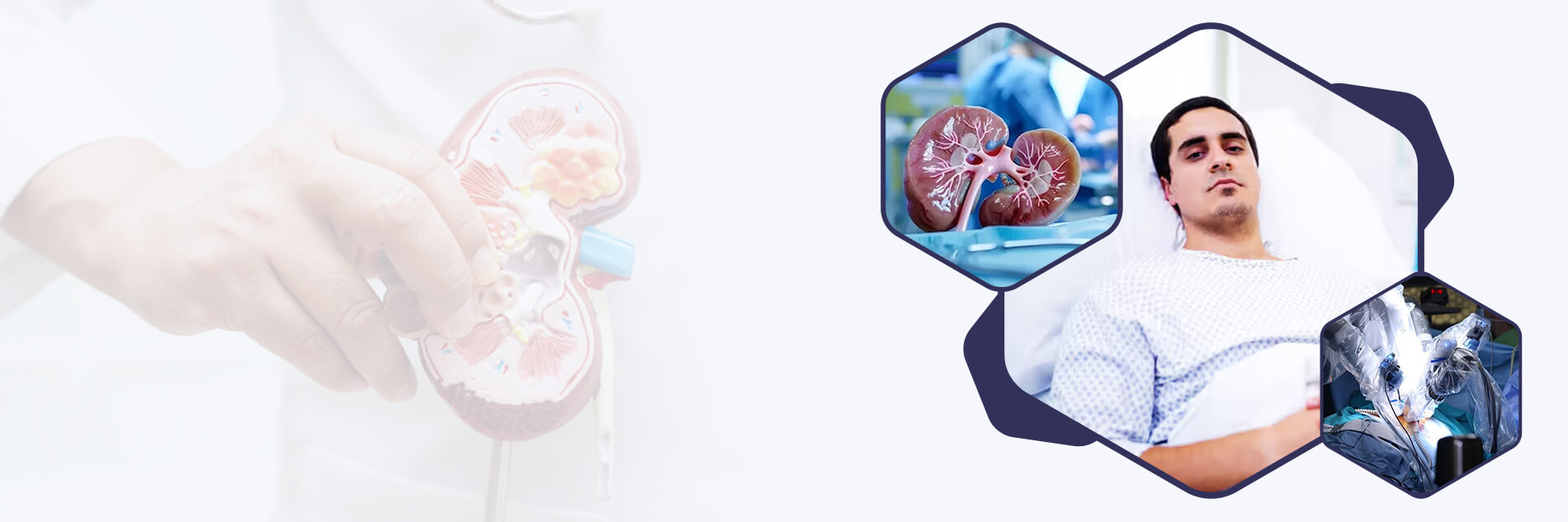 Renal Biopsy and Procedures