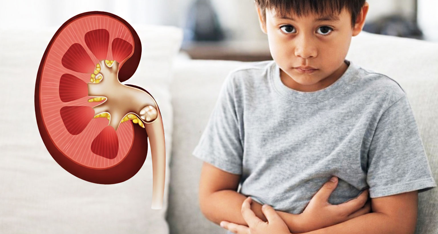 Paediatric Kidney Diseases