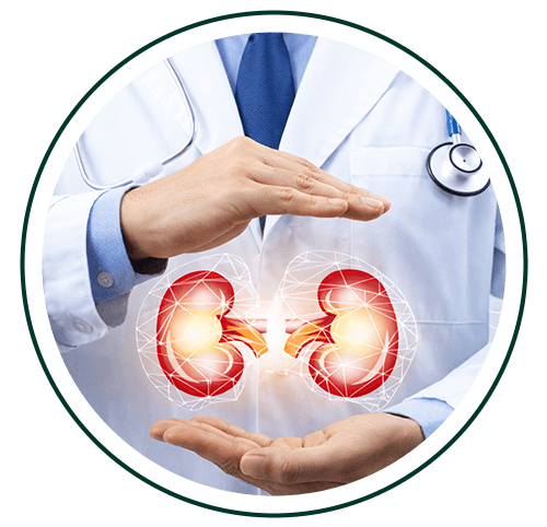 Benefits of Kidney Treatment